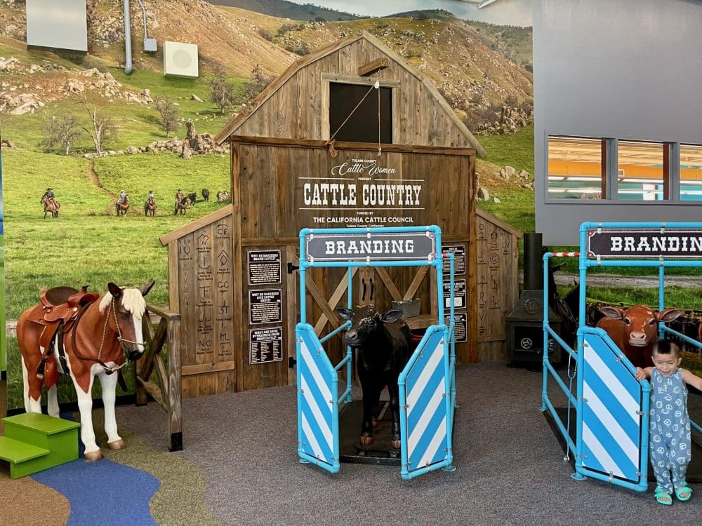 play cattle farm - things to do in visalia