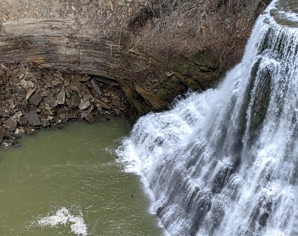 Tennessee's rivers, lakes, and waterfalls are great places to watch for wildlife (like this river otter playing in the falls)