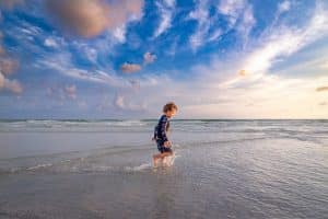 Fun Things To Do In Sarasota with kids