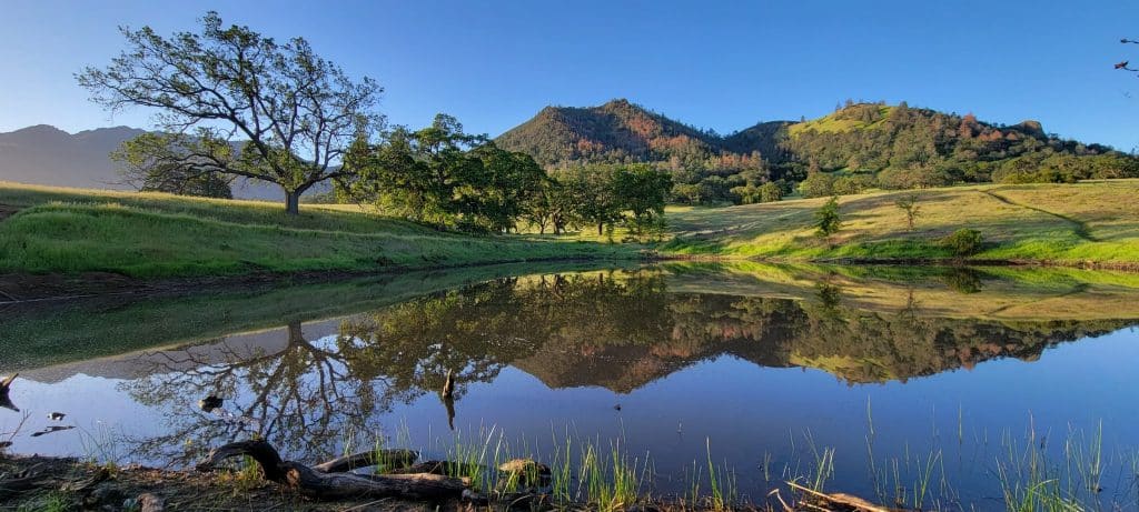 Mount Diablo State Park - The 7 Best Family-Friendly Hiking Trails Near San Francisco