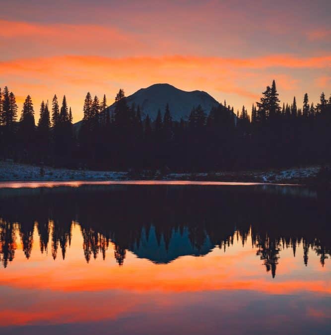 Unforgettable Visit To Mt. Rainier With Family