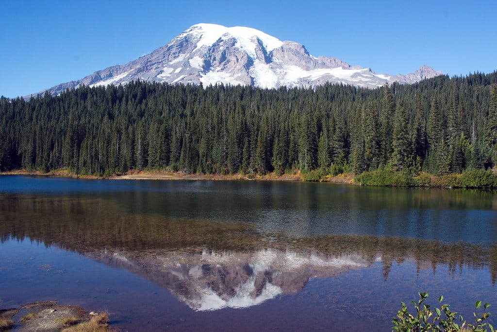 Visiting Mt. Rainier With Family