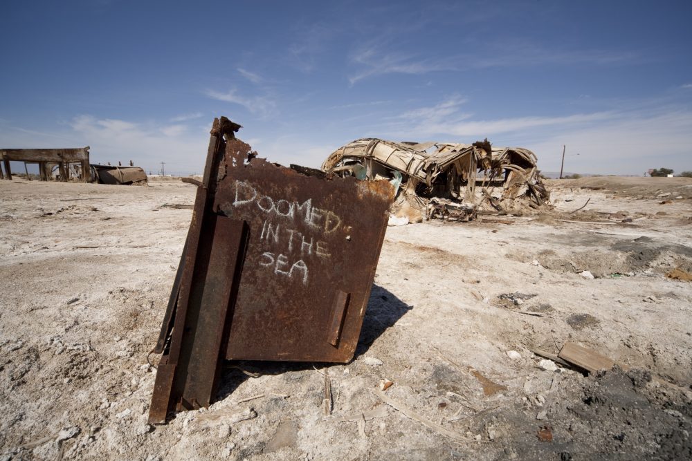 The Bombay Beach area was once a vibrant resort in the 1950s.