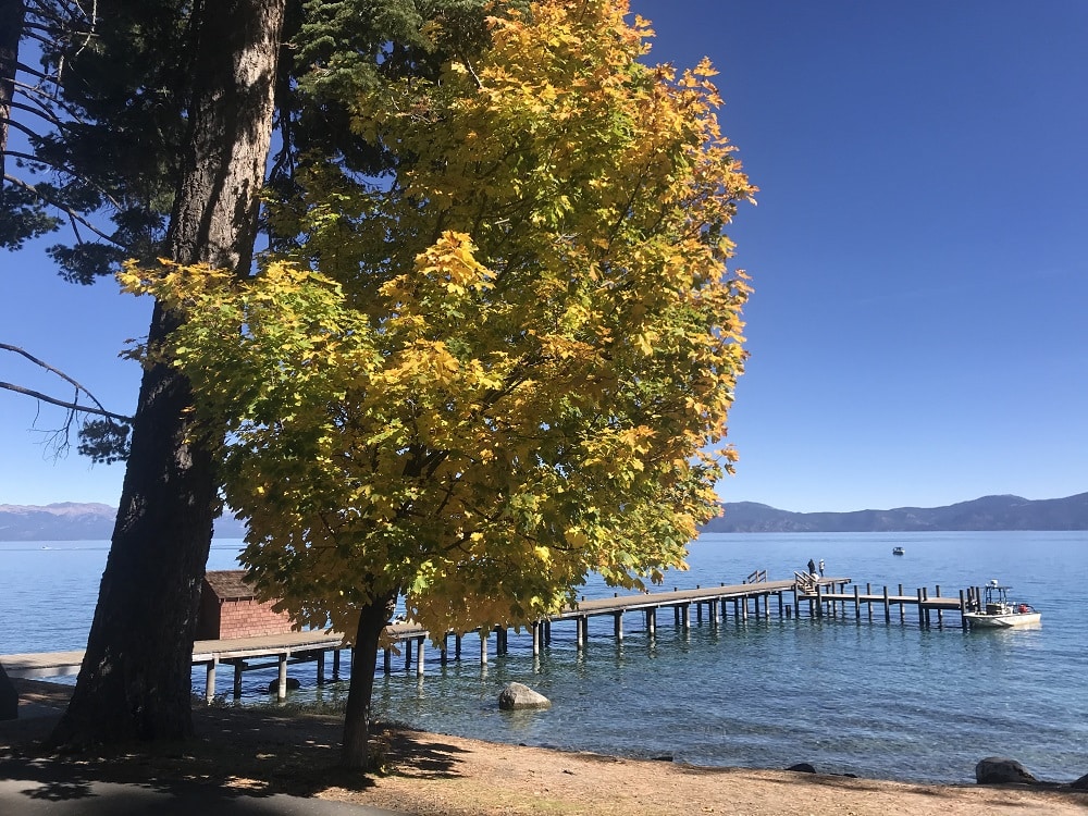 fall tree by lake - best fall destinations in us