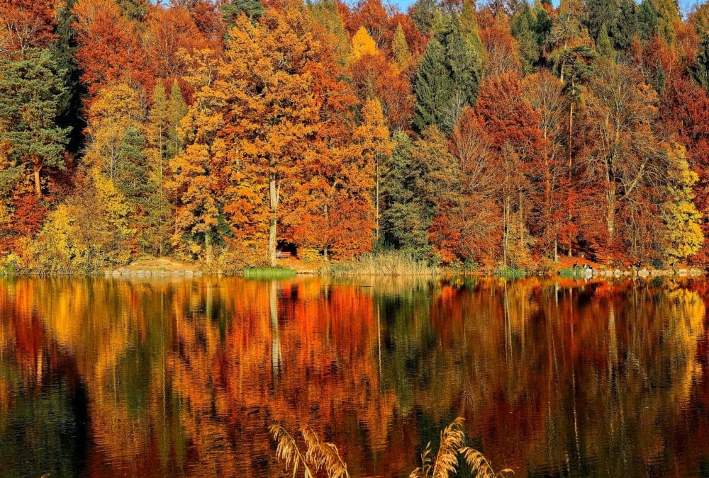 27 Best Fall Vacations in the US