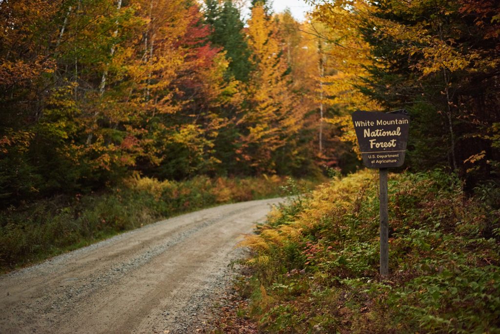 mountain road with fall foliage