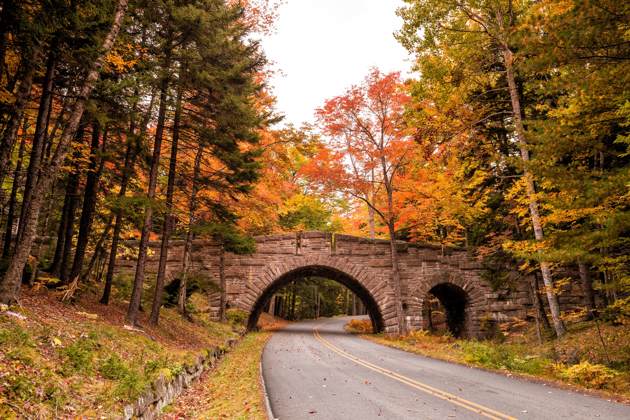 Beautiful fall colors of Acadia National Park in Maine USA
