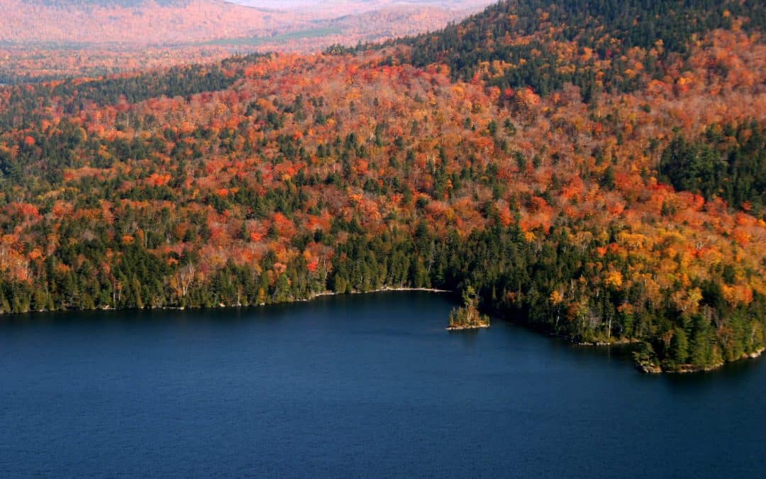 Top 8 Places To See Beautiful Fall Foliage in Acadia National Park With Kids