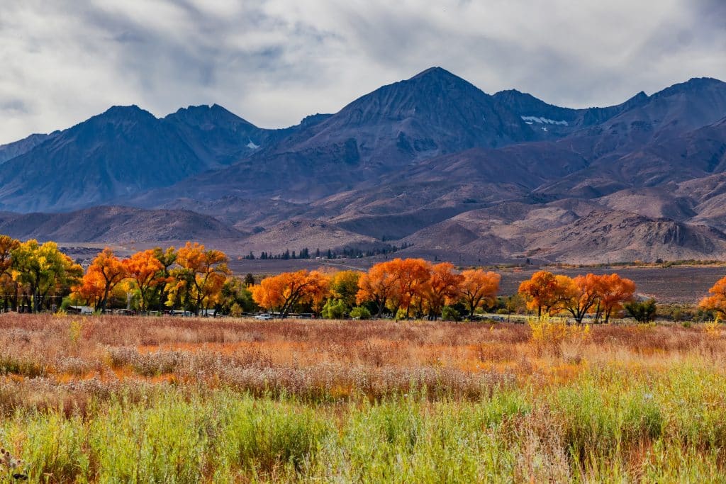 8 Incredible Fall Getaways in California for Families - LA Family Travel