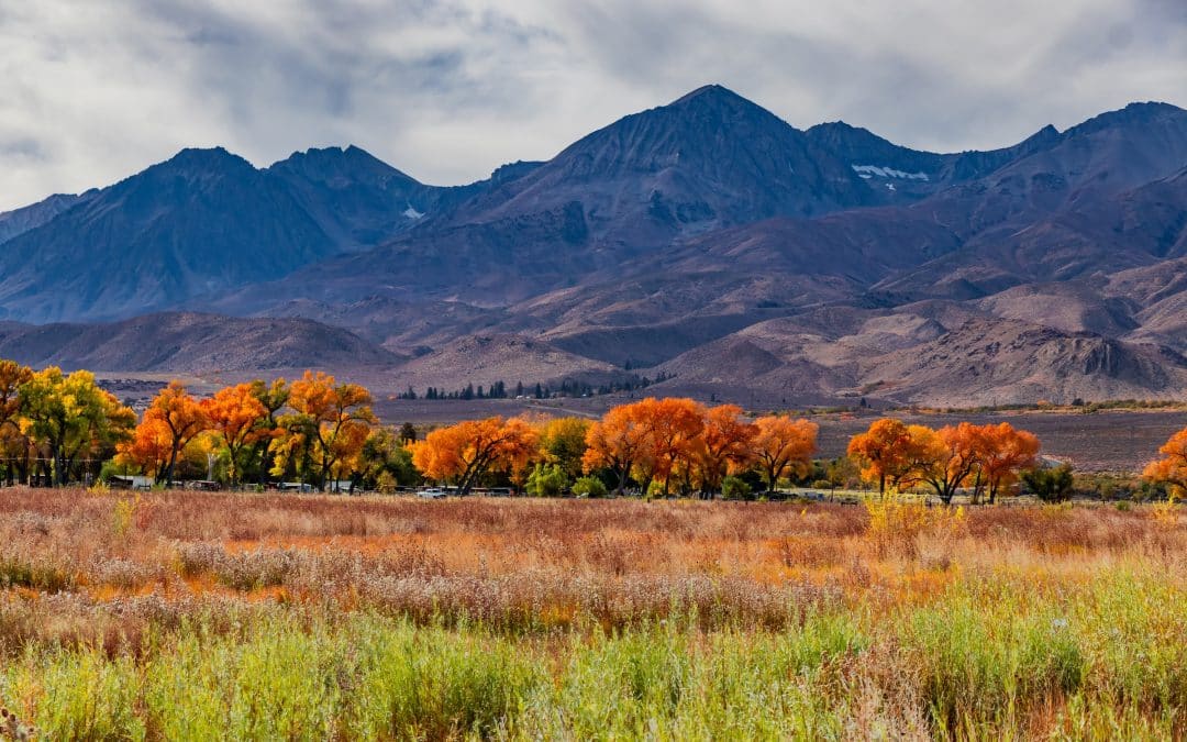 8 Incredible Fall Getaways in California for Families