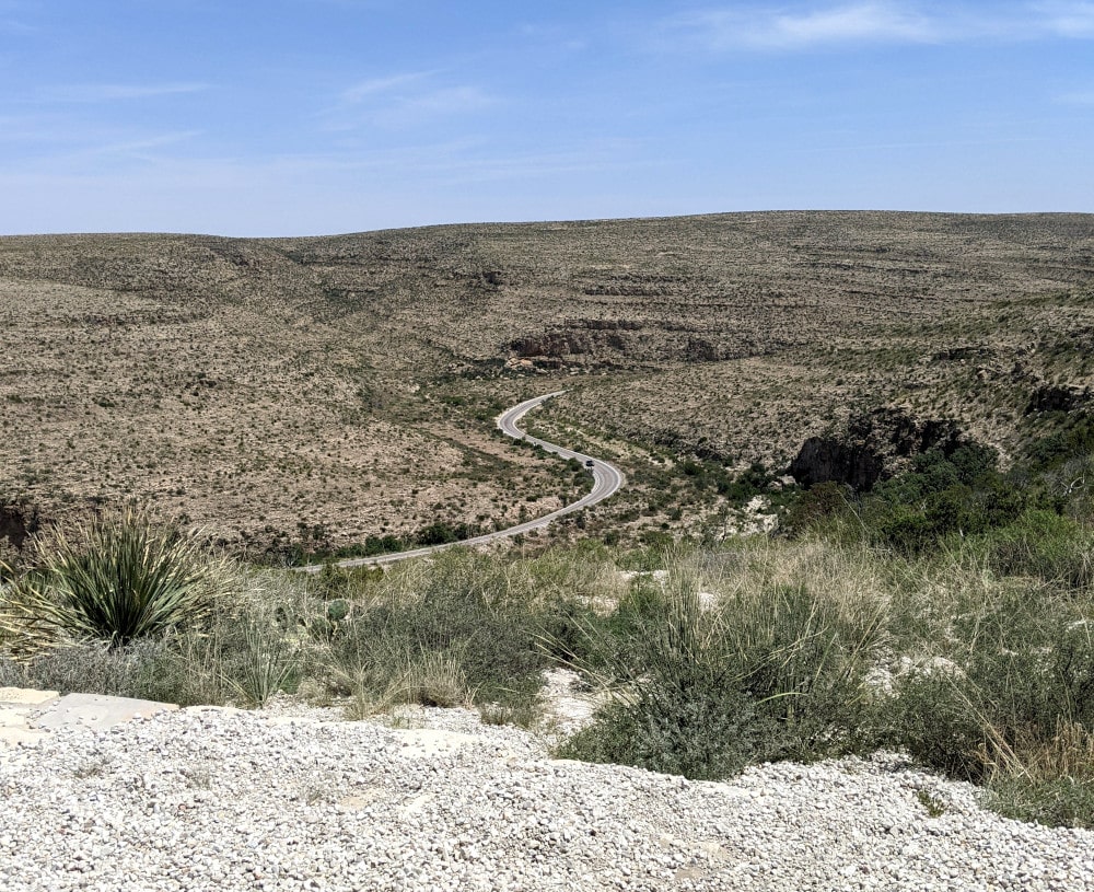 A road winds through a hilly desert dotted by stubby, green plants in Carlsbad Caverns National Park.