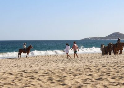 You Can Easily Organize Horse Riding On Costa Azul Beach, Just Turn Up!