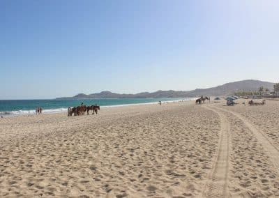 Horse Riding On Costa Azul Beach
