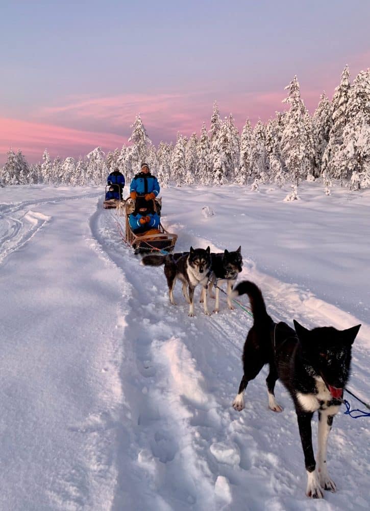 Amazing winter vacations for non-skiers-family dogsled ride