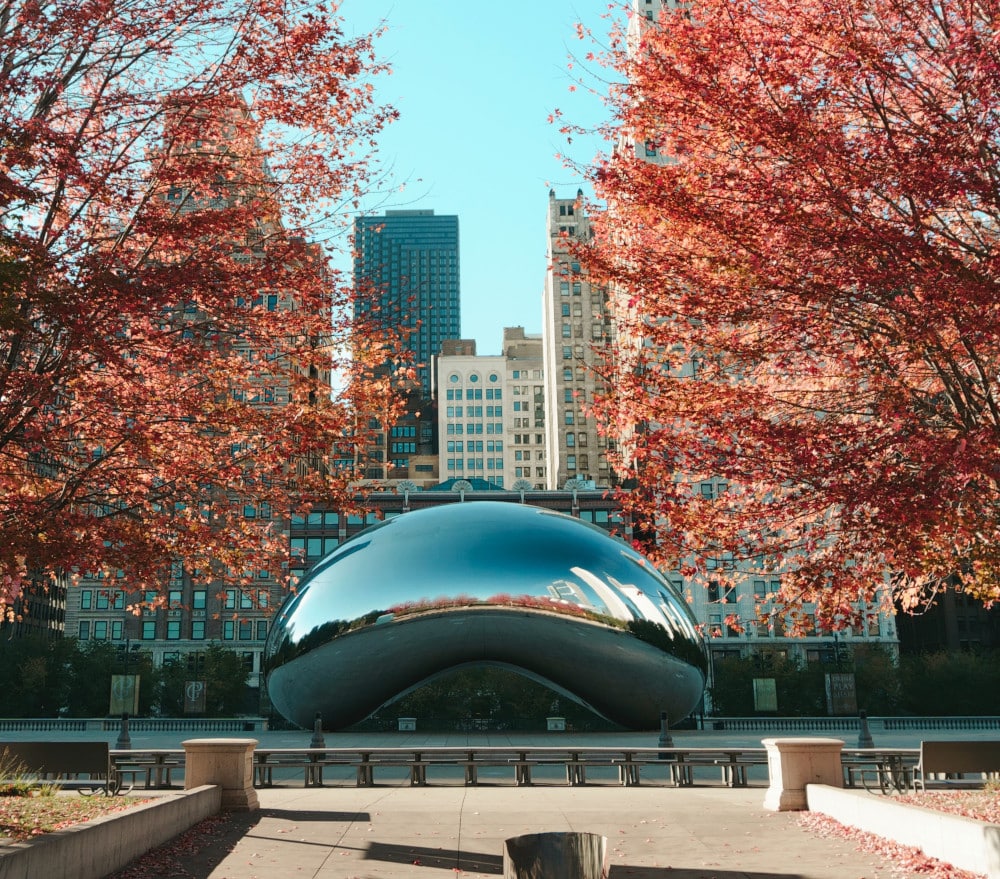 Chicago in the fall. 