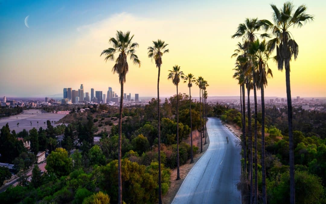 6 Best Scenic Drives in Los Angeles to Take With Your Family