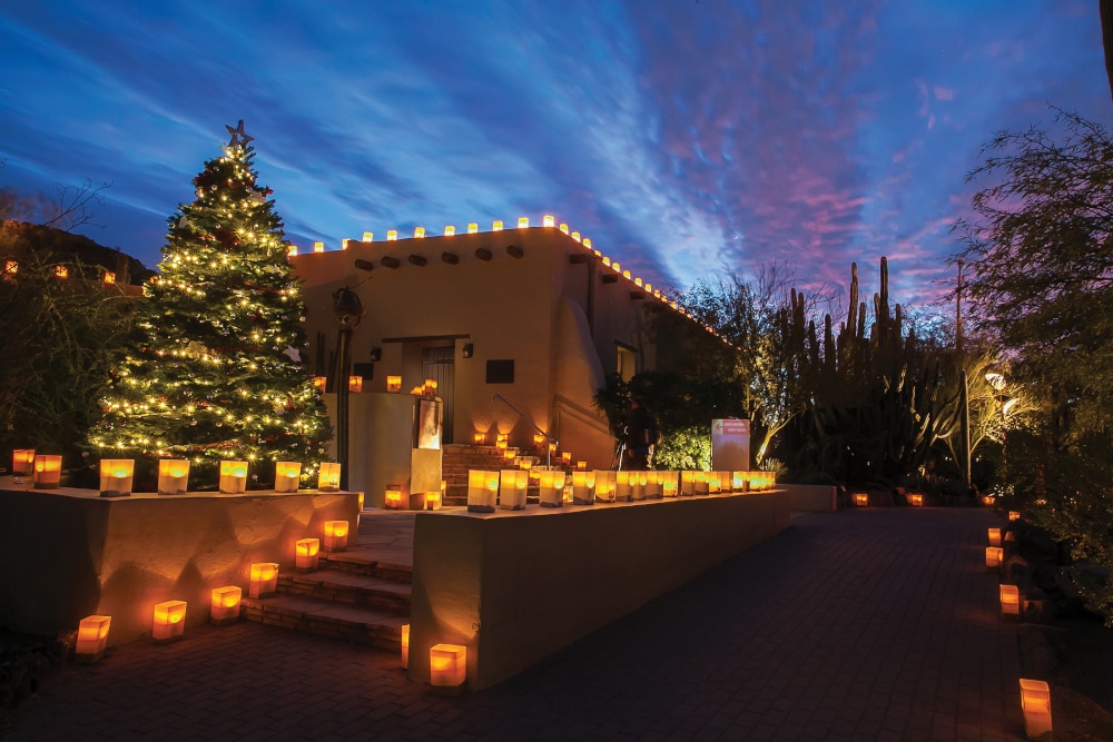 Las Noches de Las Luminarias at Desert Botanical Garden in Phoenix, Arizona. Holiday Lights Near Me.