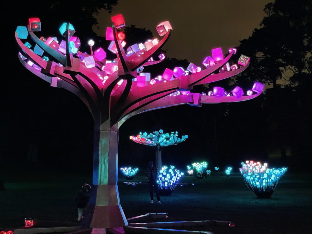 Entwined at Golden Gate Park in San Francisco. Holiday Lights Near Me.