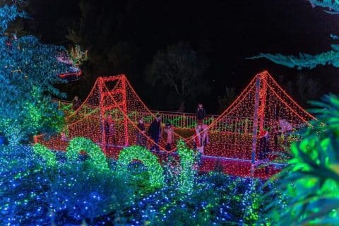 Cambria Christmas Lights 2026