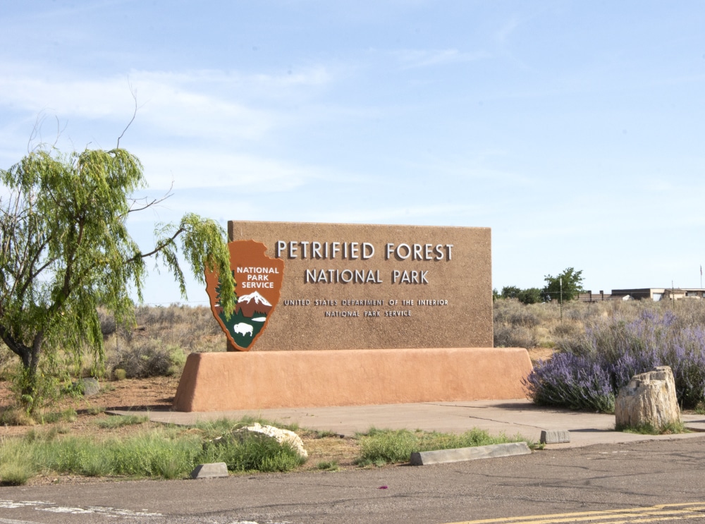 Retro entrance sign for Petrified Forest National Park - Petrified Forest National Park