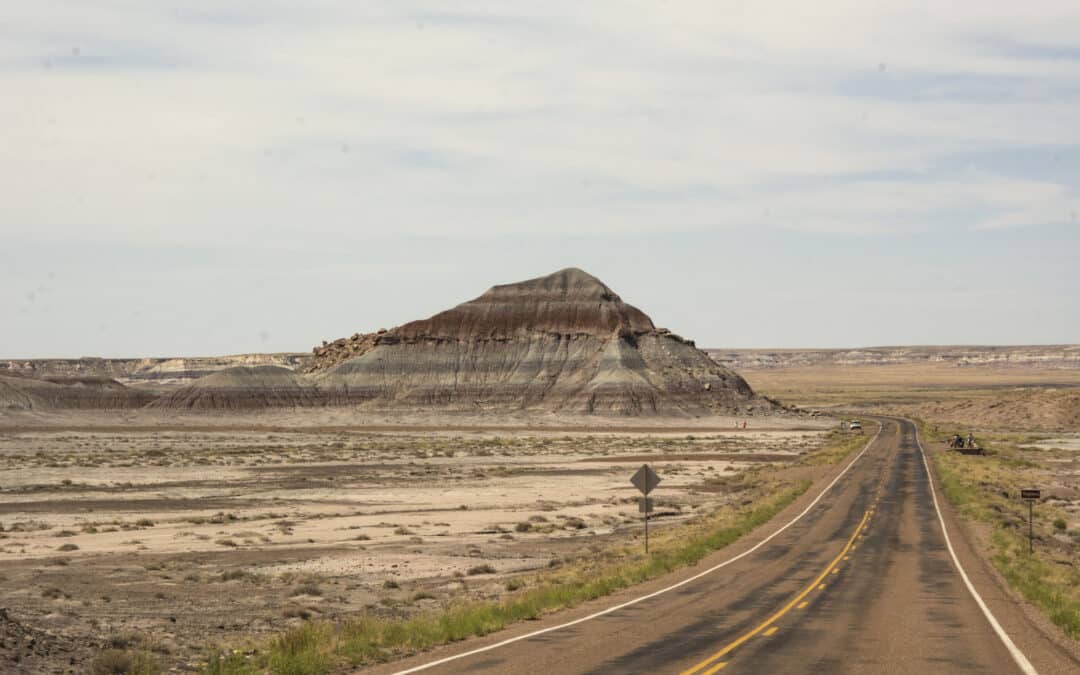 A Quick Guide to Visiting Petrified Forest National Park