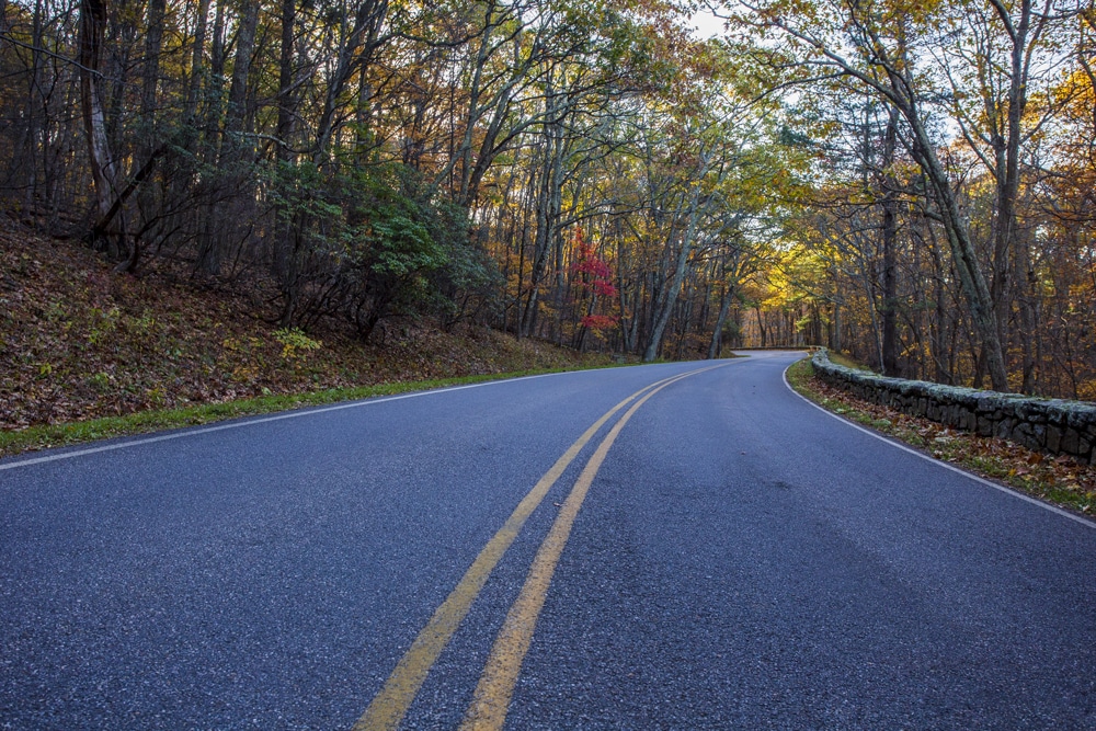 road with trees bordering - Shenandoah National Park Family Camping