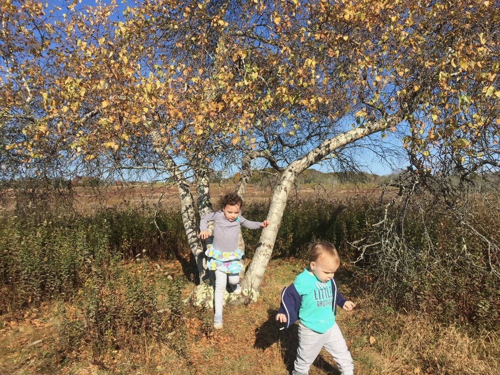kids walking away from tree - Shenandoah National Park Family Camping