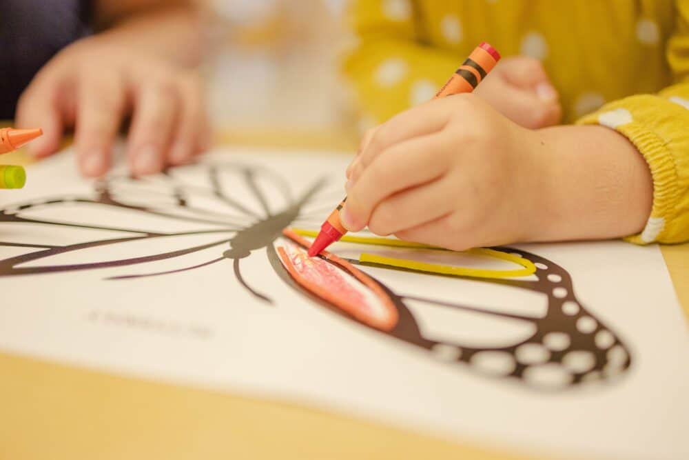 Child coloring a butterfly picture