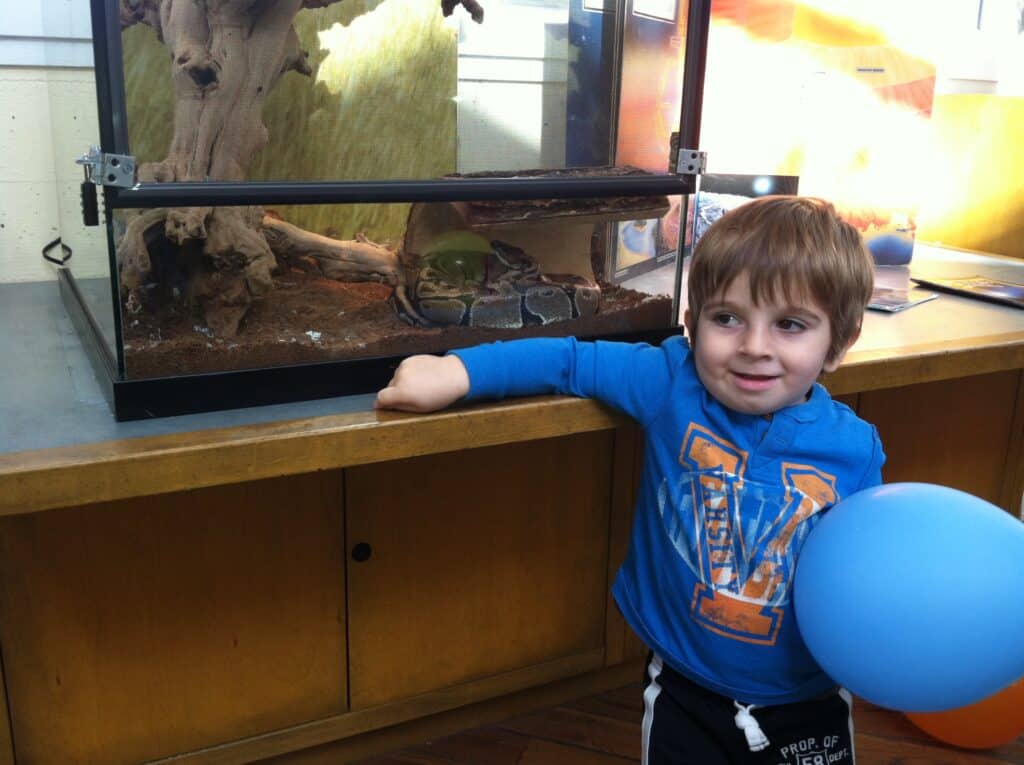 boy by atrarium with snake -best museums for toddler in LA