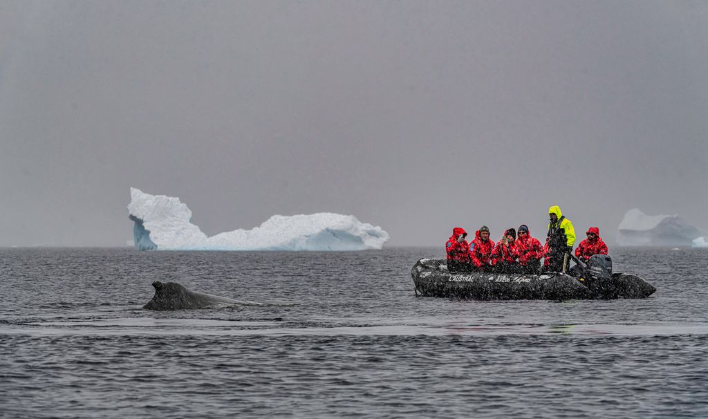 people with ice bergs in zodiac boat - Adventures by Disney Antarctica