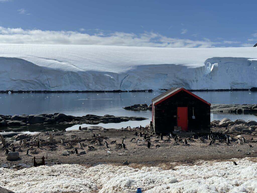 penguins with water and hut - Adventures by Disney Antarctica