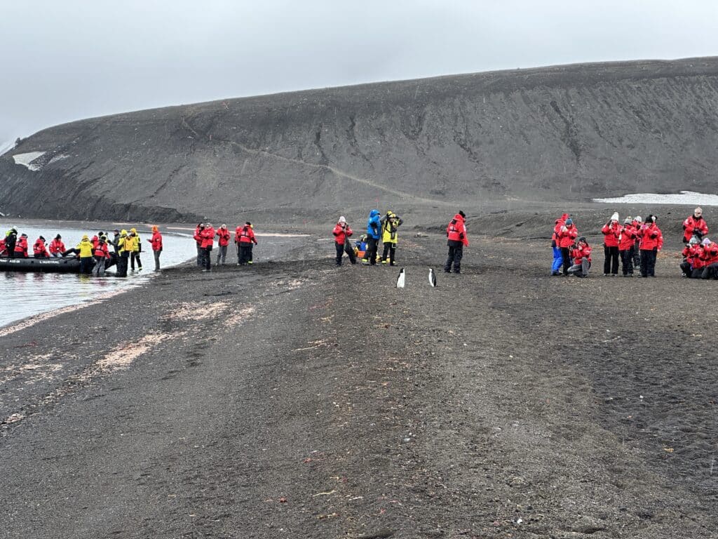 people by penguins - Adventures by Disney Antarctica