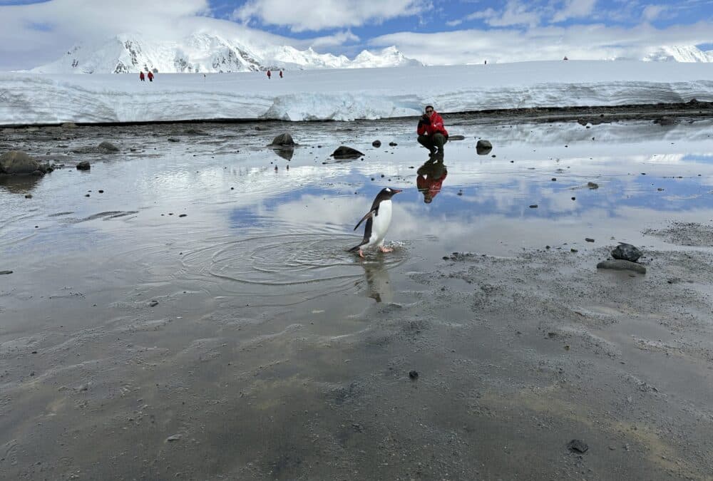 Disney on Ice: How We Explored Antarctica with Adventures by Disney