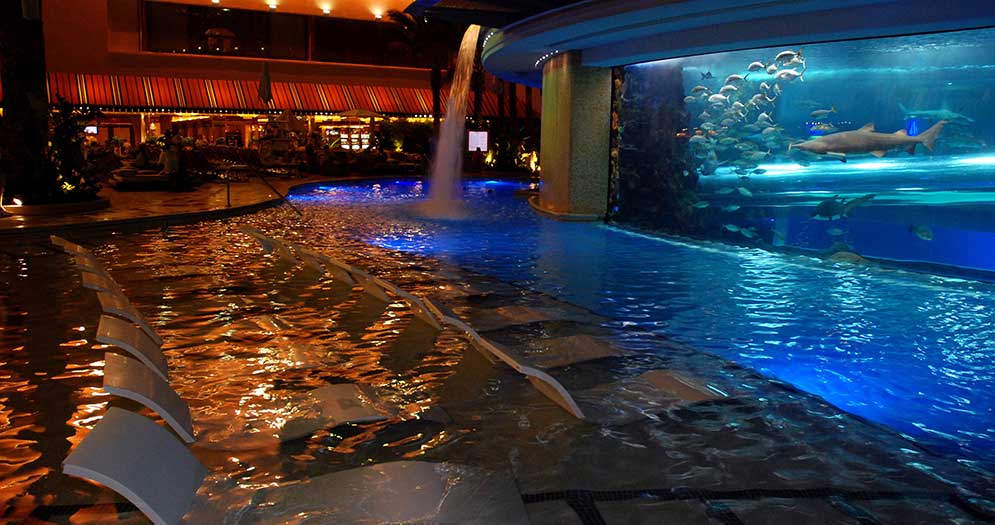 pool with shark tank - best pools in vegas for kids