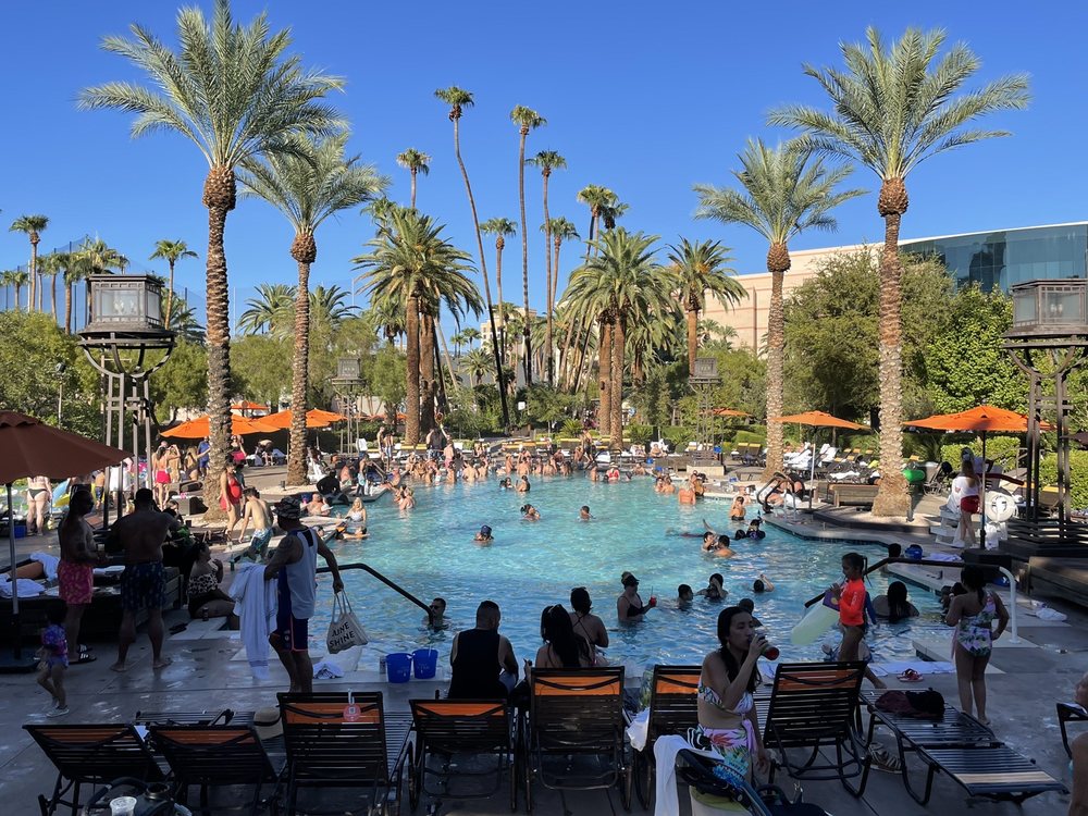 people in pool with palm trees - best pools in vegas for kids