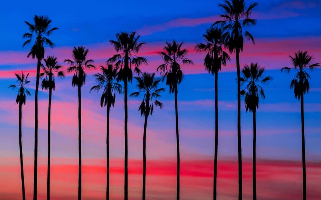 A Local’s Pick Of 8 Don’t Miss Places to Visit in Los Angeles with Family