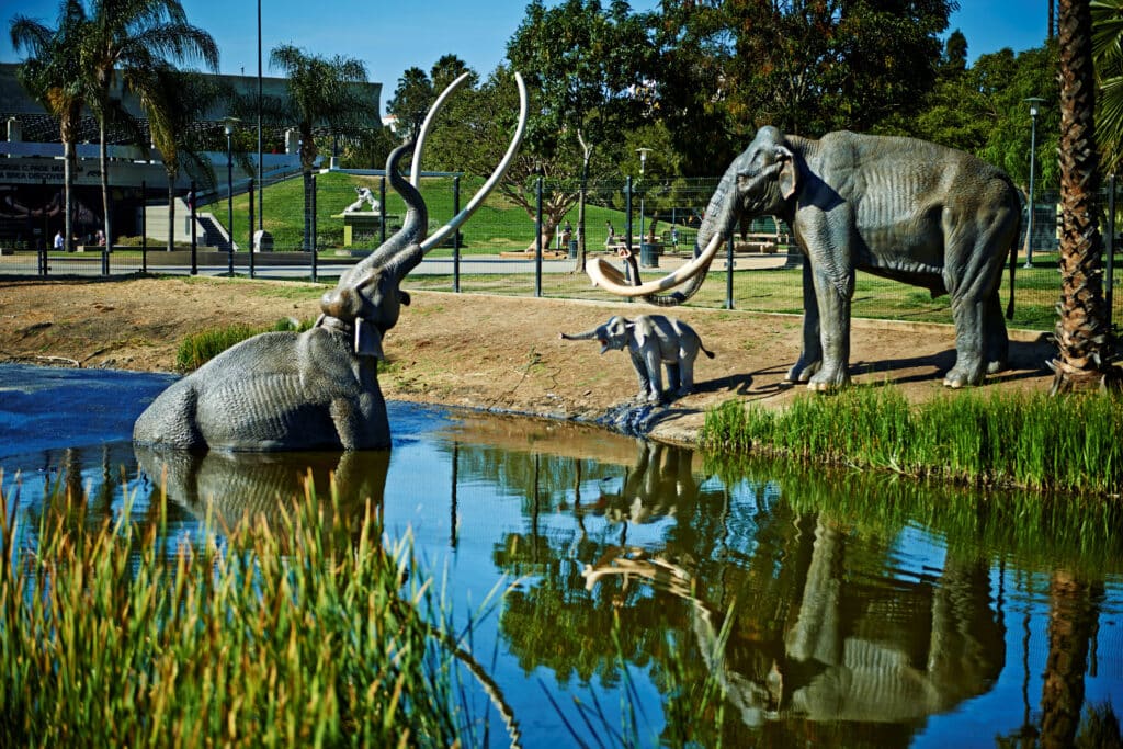 mammoth stuck in tar lake - places in LA to visit with family