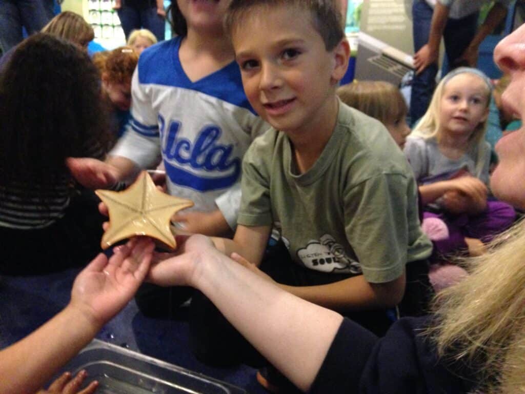 sea star with school kids - places to see in la with families