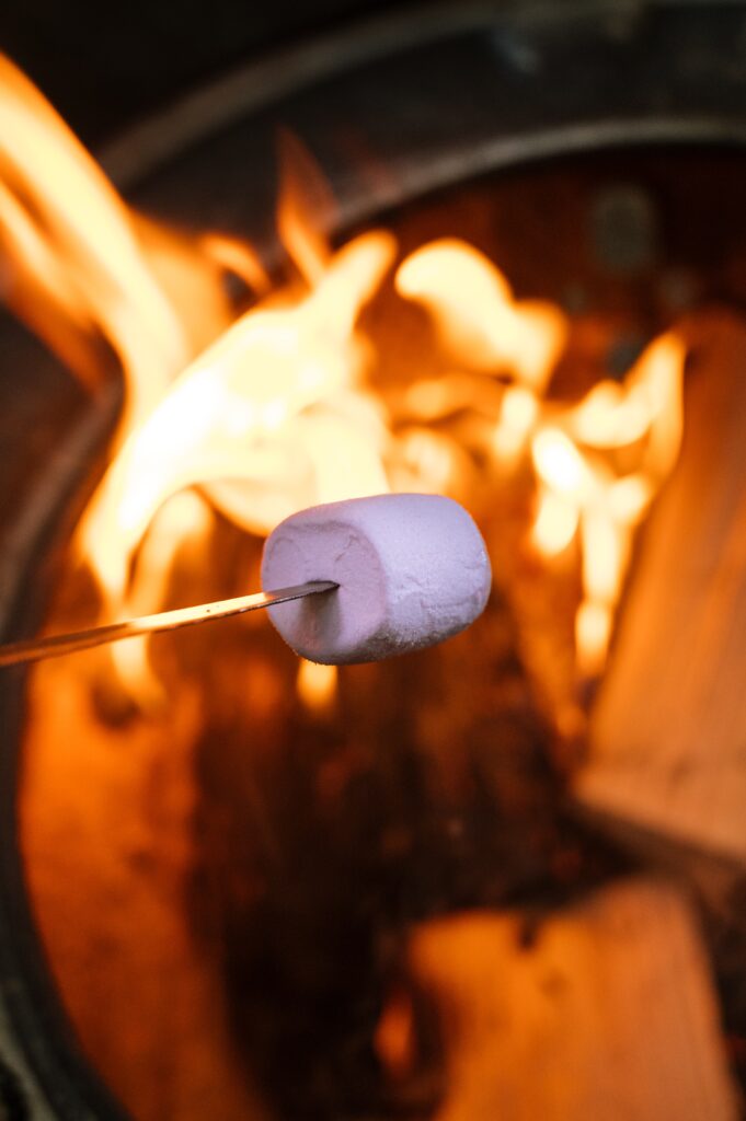 marshmallow over campfire