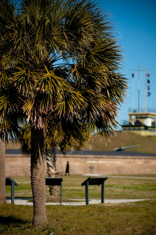 Palmetto tree with Fort Moultrie in background - 5 Best Charleston Beaches for Epic Family Vacations