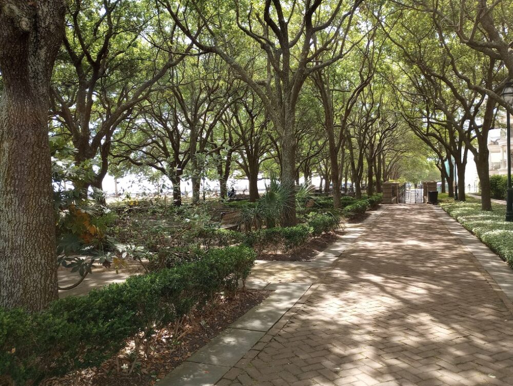 Palmetto lined sidewalk at the Charleston waterfront - 5 Best Charleston Beaches for Epic Family Vacations