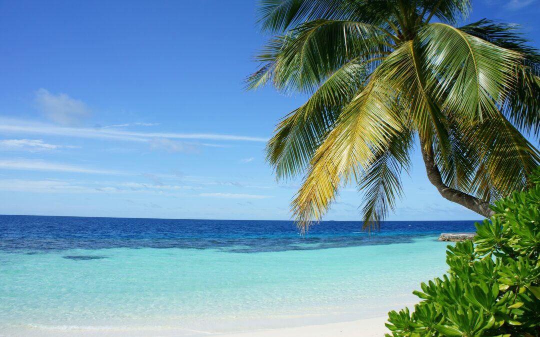 Things To Do In 30A:  Best Kept Beach Secret of the South