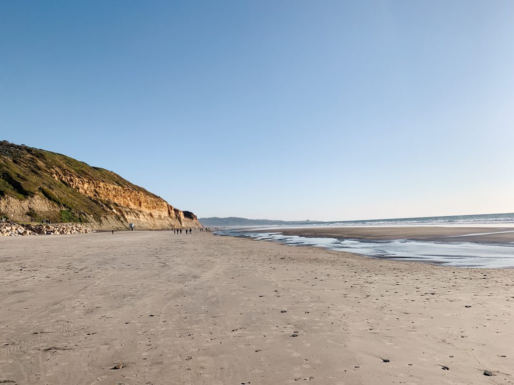 Torrey Pines State Beach - Best CA Beaches For Families