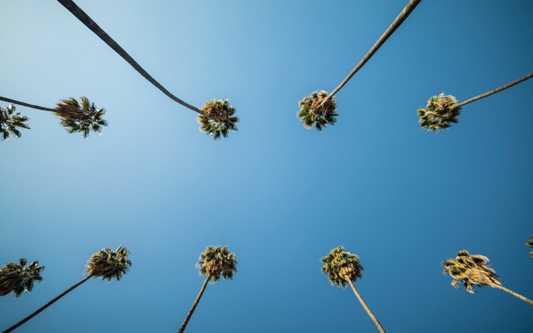 Don’t Miss These 7 Best Places To Stay In Los Angeles With Family