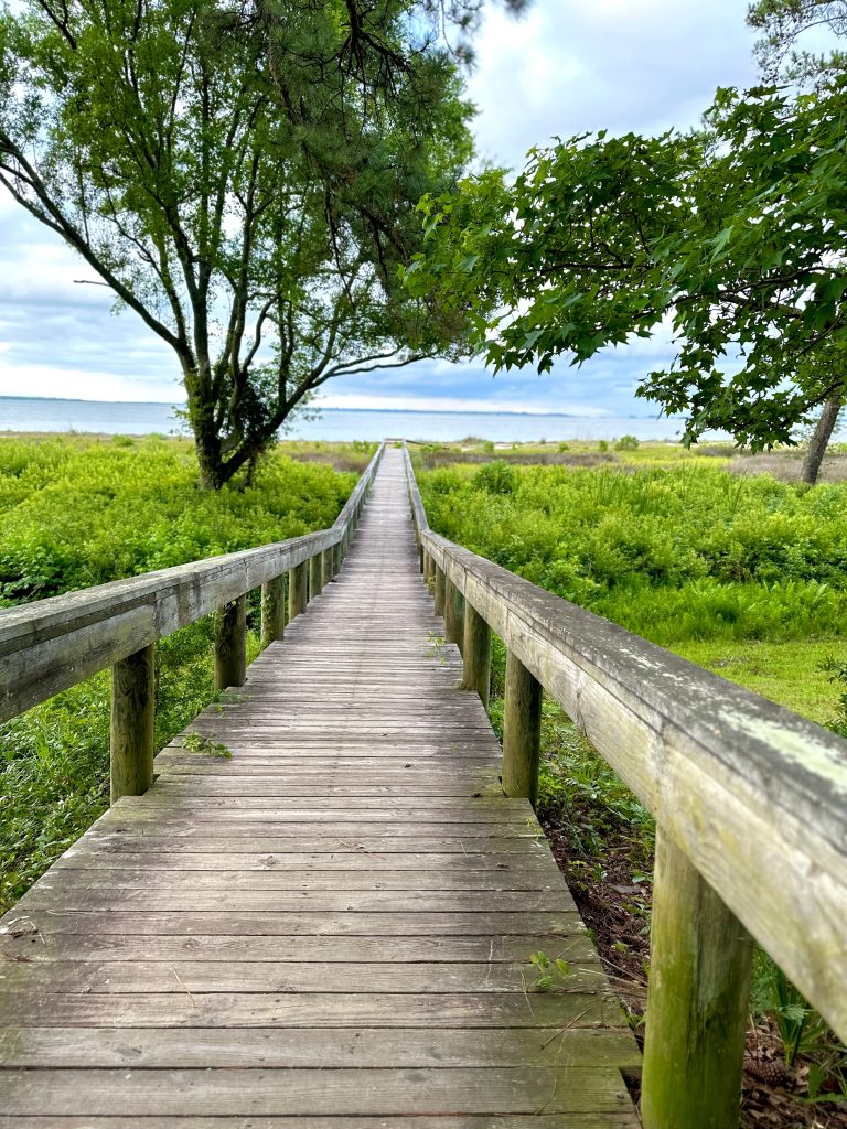 Boardwalk in South Carolina - Things To Do In Myrtle Beach With Kids