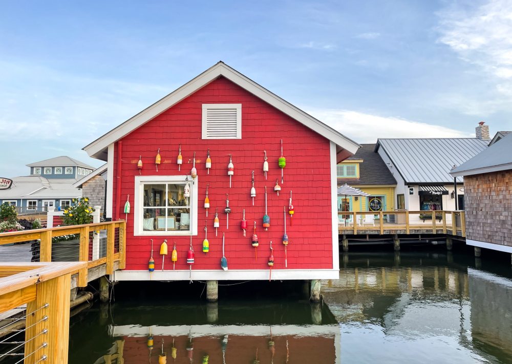 barefoot landind - Things To Do In Myrtle Beach With Kids