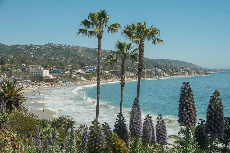 Ocean and palm trees - Best California Beaches for families
