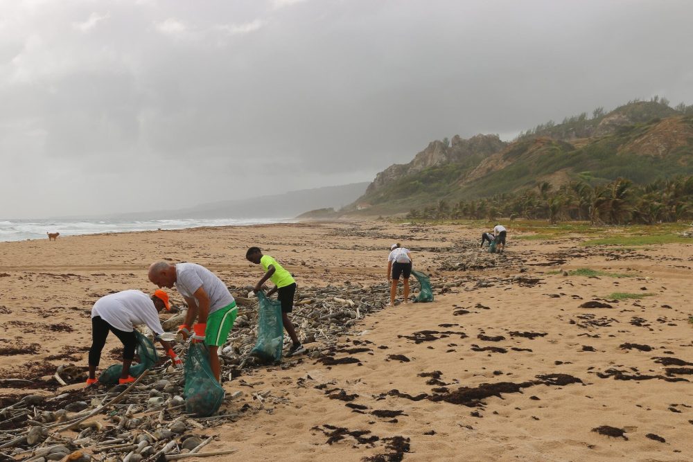 People picking up trash on the beach