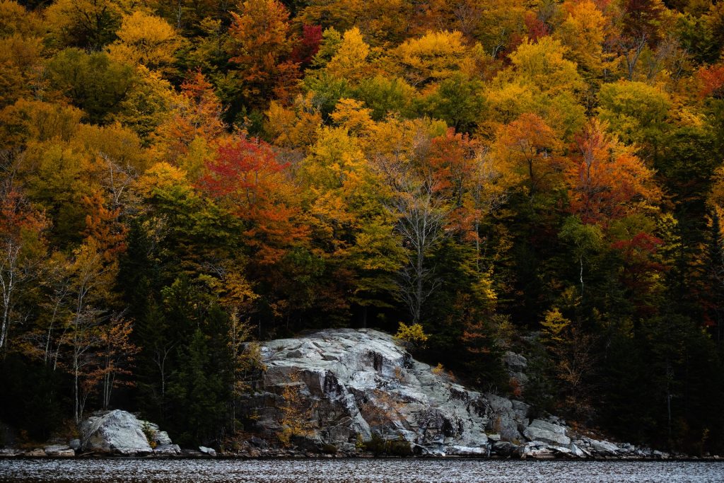 fall leaves, lake, rocks, best vermont road trips for families