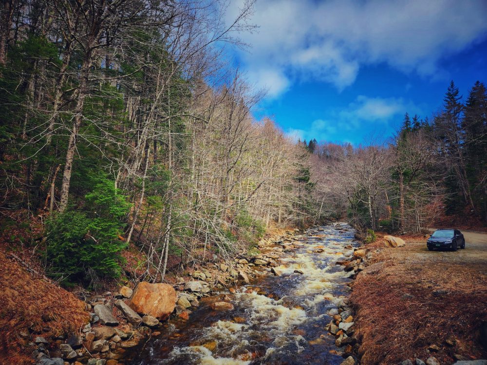 river, fall foliage, car, best vermont road trips for families